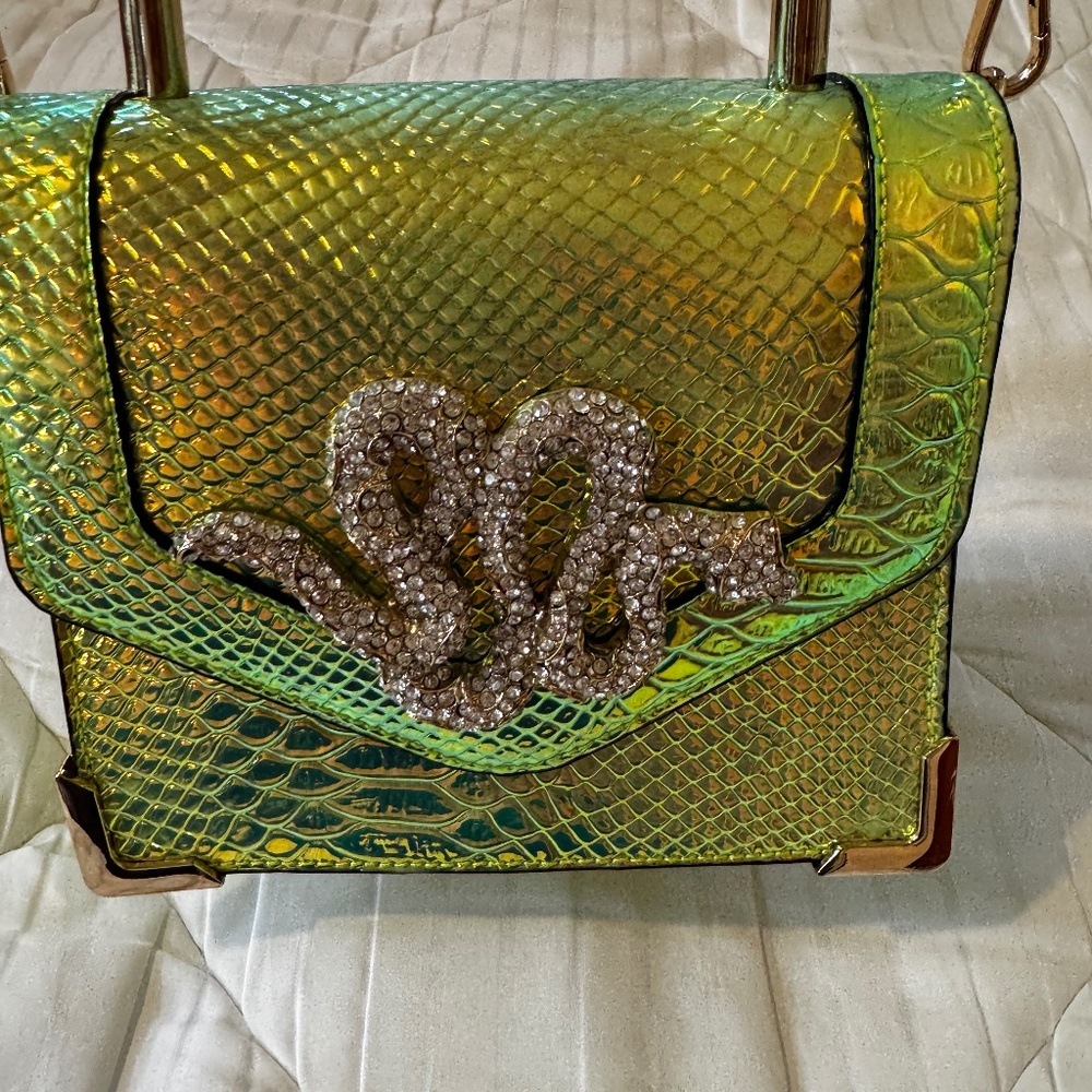 Unique Evening or Day Bag